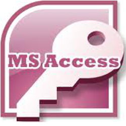 MS Access database programmer Houston TX
